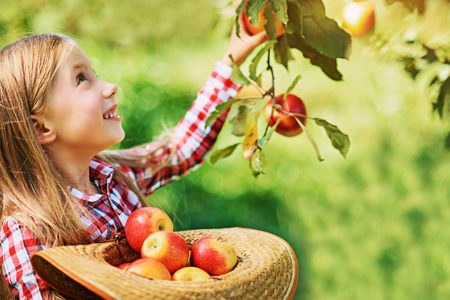 Marul – cel mai sanatos dintre fructe si regele toamnei!
